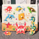 Tangram educacional temas diversos - Inglês